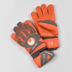 gants stéphane ruffier