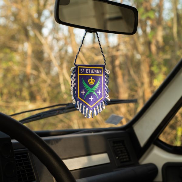 fanion saint etienne blason