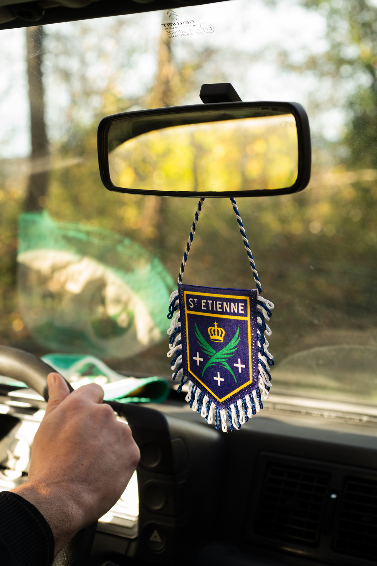 fanion saint etienne blason