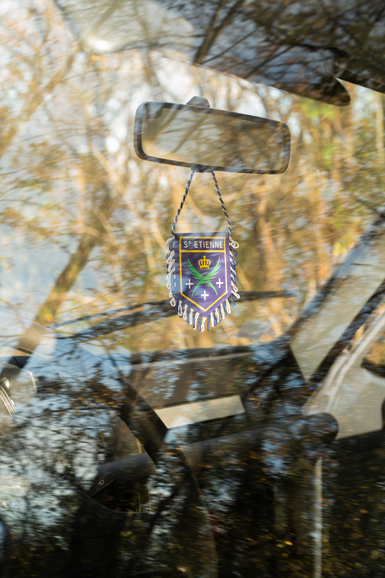 fanion saint etienne blason